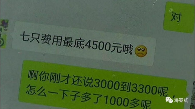 导盲犬在托运途中死掉 托运人索赔5万被拒